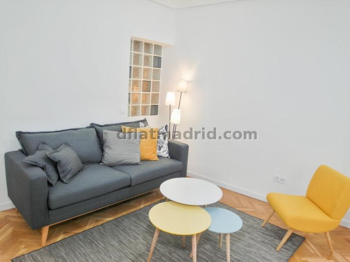 Apartamento Luminoso en Centro de 2 Dormitorios #1656 en Madrid