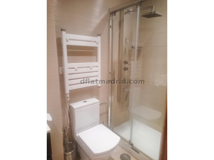 Apartamento Luminoso en Moncloa de 1 Dormitorio #1659 en Madrid