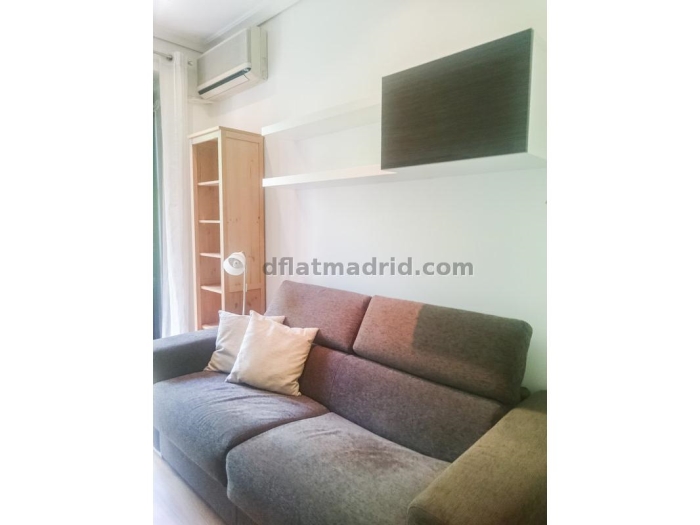 Apartamento Luminoso en Moncloa de 1 Dormitorio #1659 en Madrid