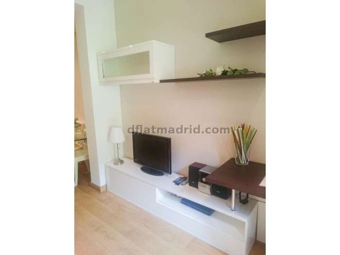 Apartamento Luminoso en Moncloa de 1 Dormitorio #1659 en Madrid