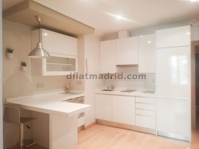 Bright Apartment in Moncloa of 1 Bedroom #1659 in Madrid