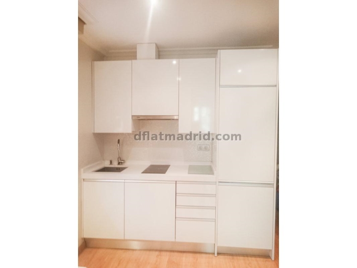 Bright Apartment in Moncloa of 1 Bedroom #1659 in Madrid