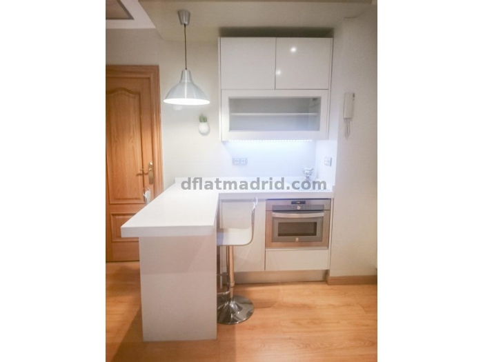 Bright Apartment in Moncloa of 1 Bedroom #1659 in Madrid