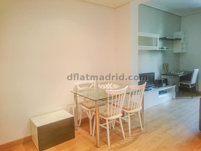 Apartamento Luminoso en Moncloa de 1 Dormitorio #1659 en Madrid