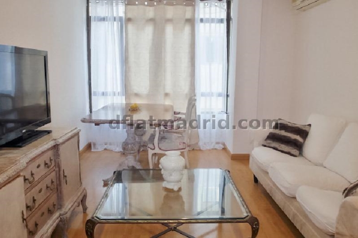 Apartamento Luminoso en Chamartin de 1 Dormitorio #1664 en Madrid