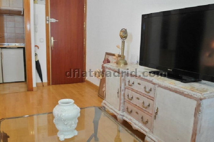 Apartamento Luminoso en Chamartin de 1 Dormitorio #1664 en Madrid