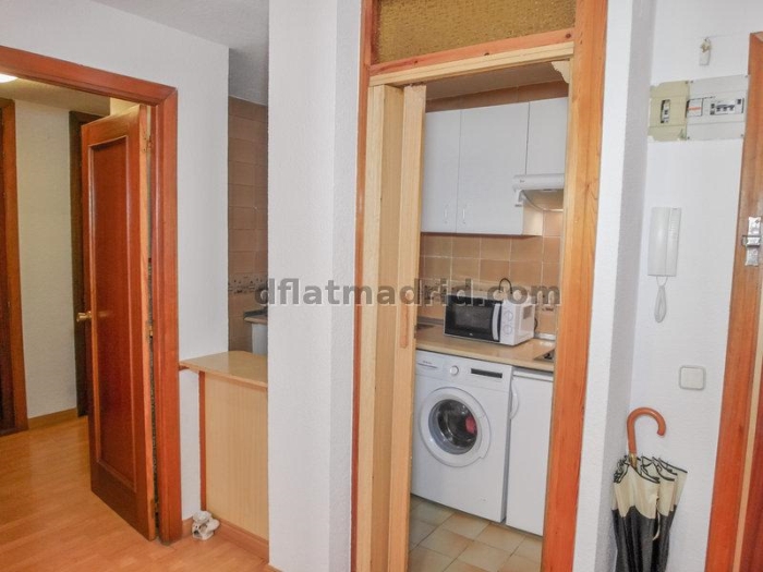 Apartamento Luminoso en Chamartin de 1 Dormitorio #1664 en Madrid