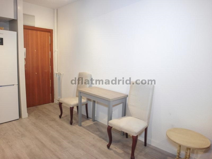 Apartamento Tranquilo en Chamartin de 2 Dormitorios #1670 en Madrid