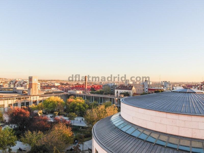 Apartamento Luminoso en Centro de 1 Dormitorio #1677 en Madrid