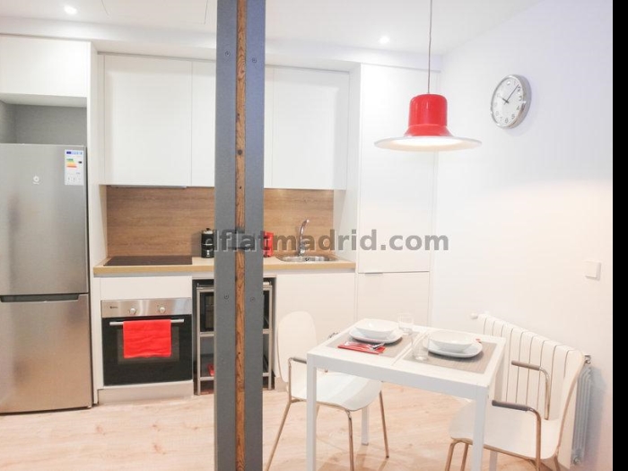 Apartamento Luminoso en Centro de 1 Dormitorio #1677 en Madrid