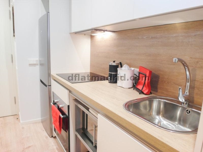 Bright Apartment in Centro of 1 Bedroom #1677 in Madrid