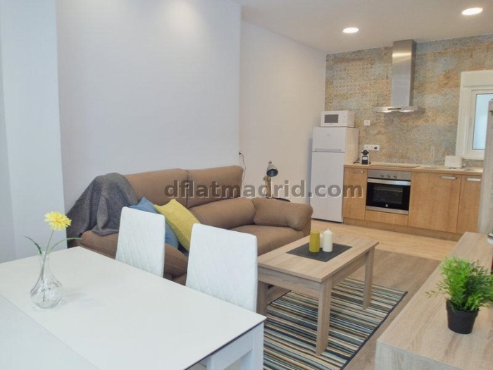 Apartamento luminoso en Chueca-Justicia de 1 Dormitorio #1680 en Madrid