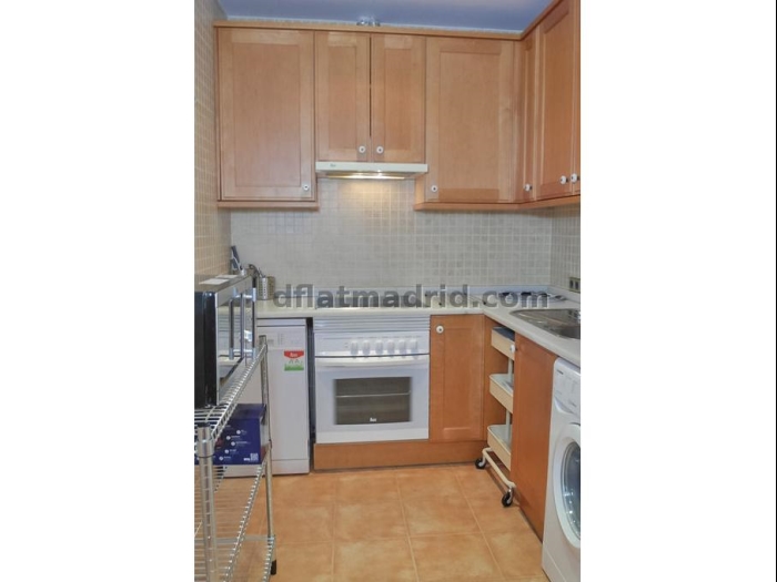 Apartamento Amplio en Chamartin de 2 Dormitorios con terraza #1746 en Madrid