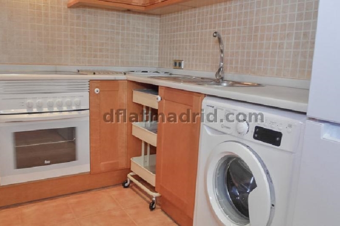 Apartamento Amplio en Chamartin de 2 Dormitorios con terraza #1746 en Madrid