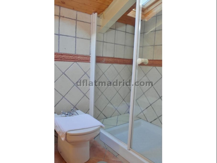 Spacious Apartment in Chamartin of 2 Bedrooms with terrace #1746 in Madrid