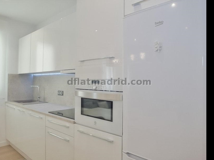 Central Apartment in Salamanca of 2 Bedrooms #1750 in Madrid