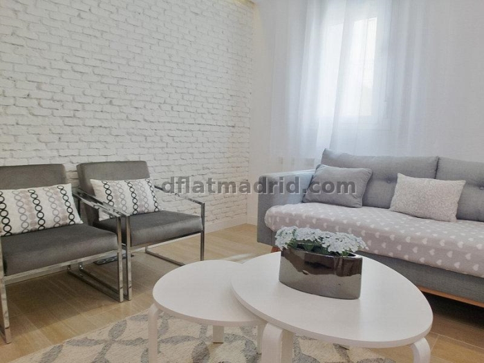 Central Apartment in Salamanca of 2 Bedrooms #1750 in Madrid