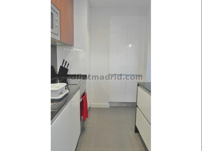 Apartamento Amplio en Chamartin de 1 Dormitorio #1753 en Madrid