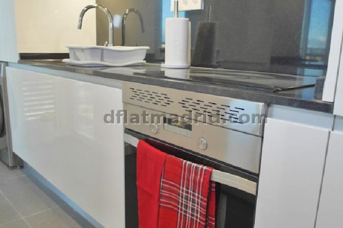 Apartamento Amplio en Chamartin de 1 Dormitorio #1753 en Madrid