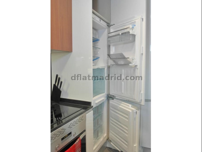 Apartamento Amplio en Chamartin de 1 Dormitorio #1753 en Madrid