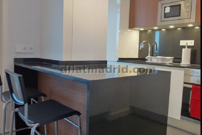 Apartamento Amplio en Chamartin de 1 Dormitorio #1753 en Madrid