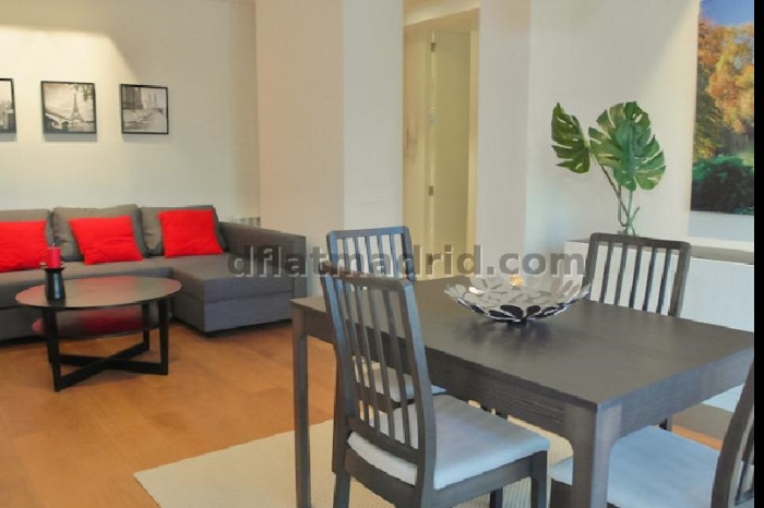 Apartamento Amplio en Chamartin de 1 Dormitorio #1753 en Madrid
