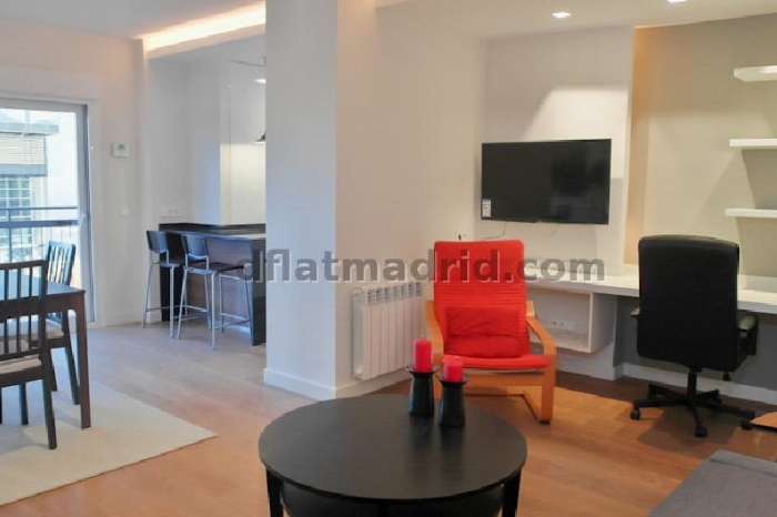 Apartamento Amplio en Chamartin de 1 Dormitorio #1753 en Madrid