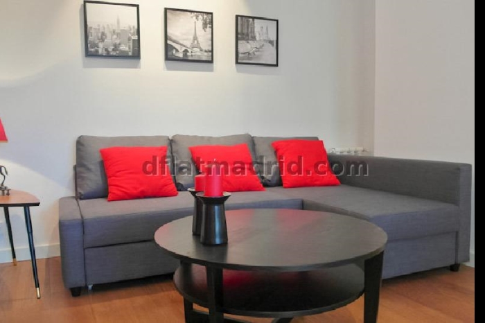 Apartamento Amplio en Chamartin de 1 Dormitorio #1753 en Madrid