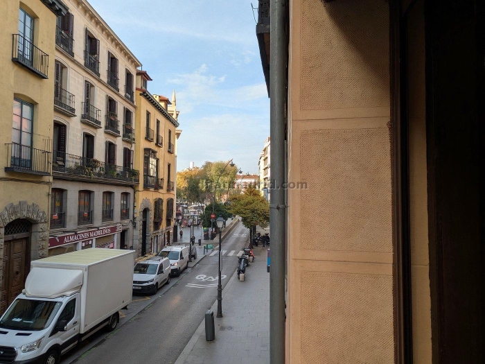 Apartamento Luminoso en Centro de 1 Dormitorio #1758 en Madrid