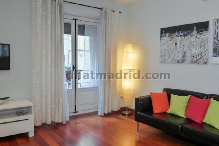 Bright Apartment in Centro of 1 Bedroom #1758 in Madrid