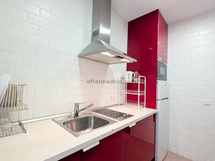 Apartamento Luminoso en Centro de 1 Dormitorio #1758 en Madrid