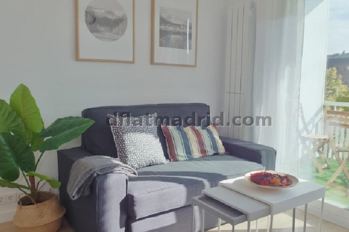 Apartamento Luminoso en Hortaleza de 2 Dormitorios con terraza #1768 en Madrid