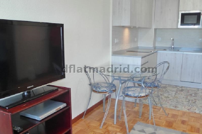 Apartamento Céntrico en Salamanca de 1 Dormitorio #1783 en Madrid