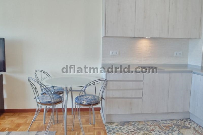 Apartamento Céntrico en Salamanca de 1 Dormitorio #1783 en Madrid