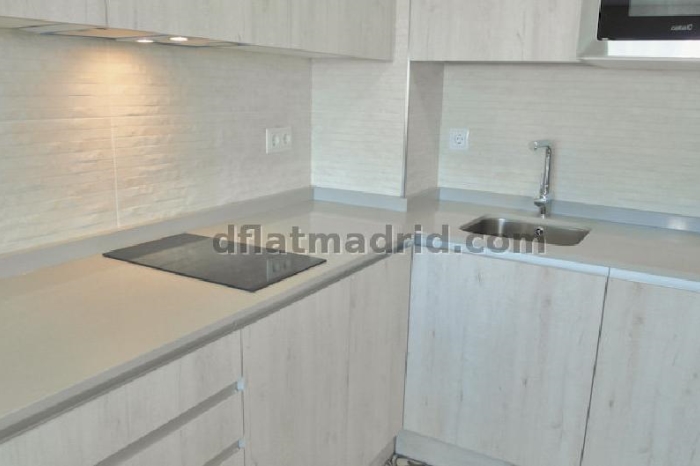 Apartamento Céntrico en Salamanca de 1 Dormitorio #1783 en Madrid