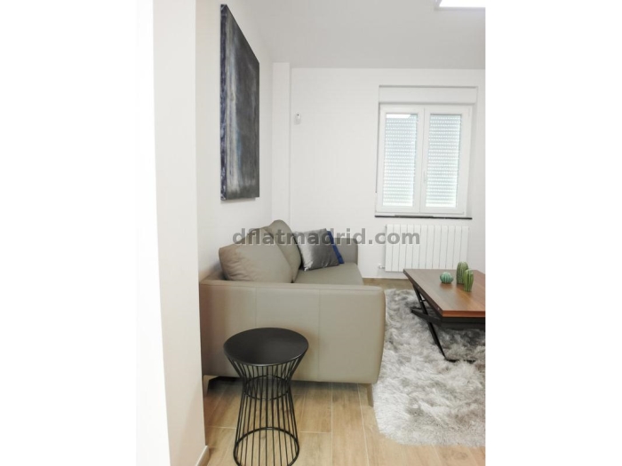 Apartamento Luminoso en Chamartin de 2 Dormitorios #1790 en Madrid