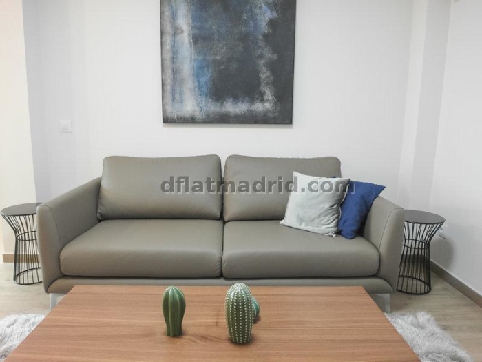 Apartamento Luminoso en Chamartin de 2 Dormitorios #1790 en Madrid