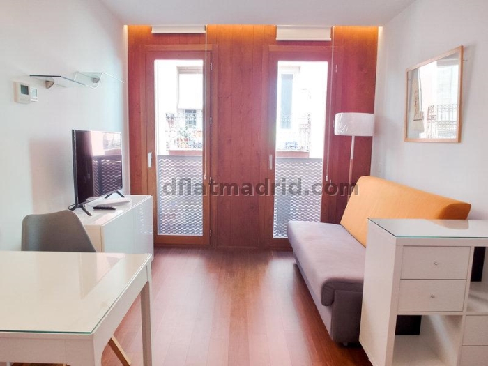 Apartamento Luminoso en Centro de 1 Dormitorio #1791 en Madrid