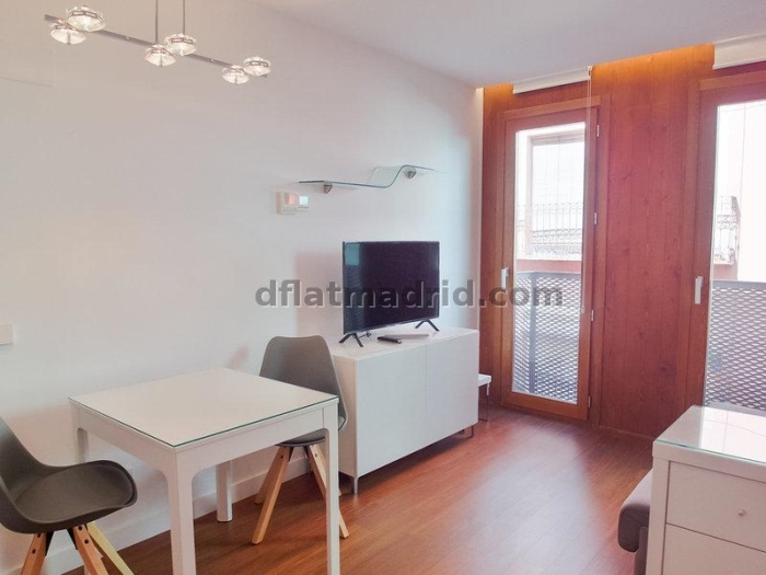 Apartamento Luminoso en Centro de 1 Dormitorio #1791 en Madrid