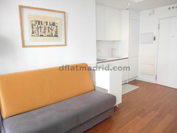 Apartamento Luminoso en Centro de 1 Dormitorio #1791 en Madrid