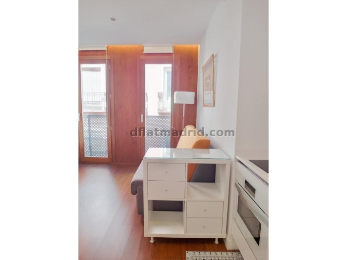 Apartamento Luminoso en Centro de 1 Dormitorio #1791 en Madrid