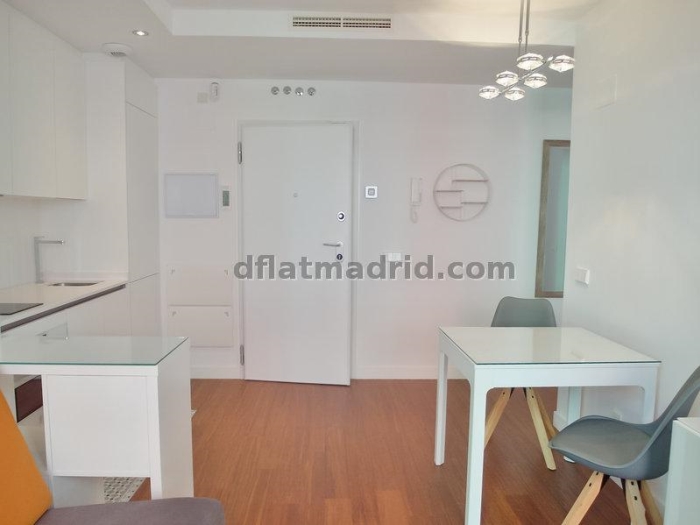 Apartamento Luminoso en Centro de 1 Dormitorio #1791 en Madrid