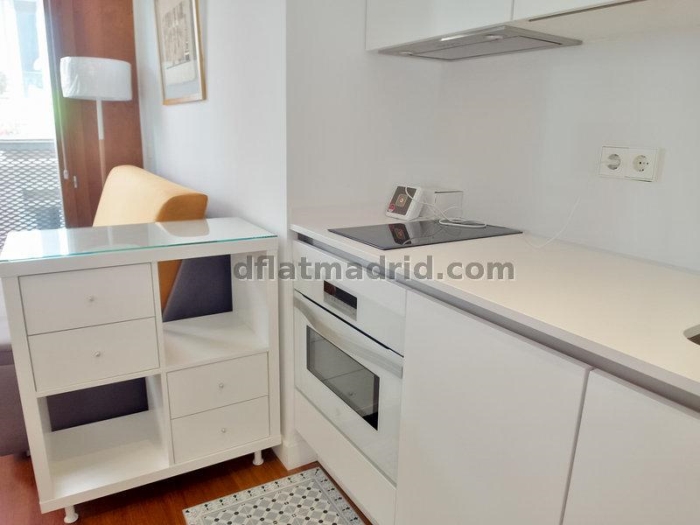 Apartamento Luminoso en Centro de 1 Dormitorio #1791 en Madrid