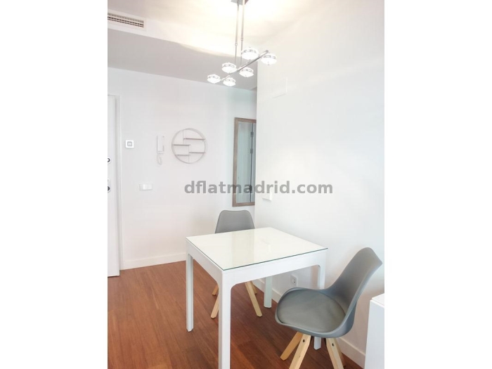 Apartamento Luminoso en Centro de 1 Dormitorio #1791 en Madrid