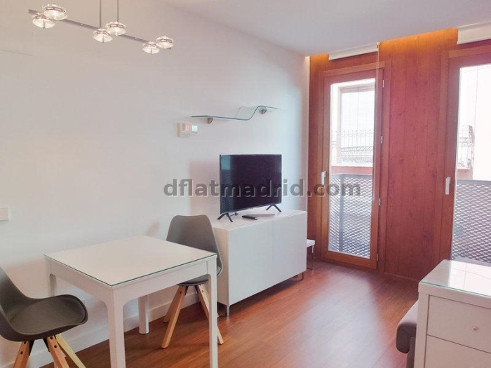 Apartamento Luminoso en Centro de 1 Dormitorio #1792 en Madrid