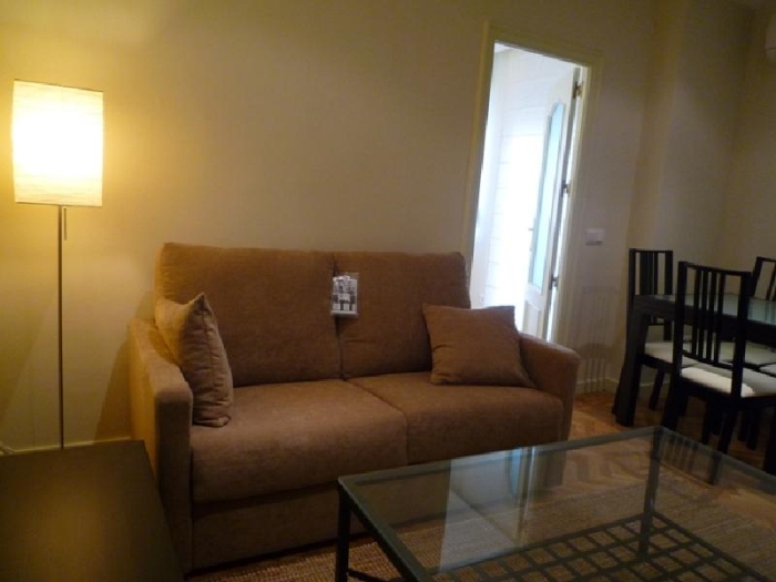 Central Apartment in Salamanca of 1 Bedroom #433 in Madrid