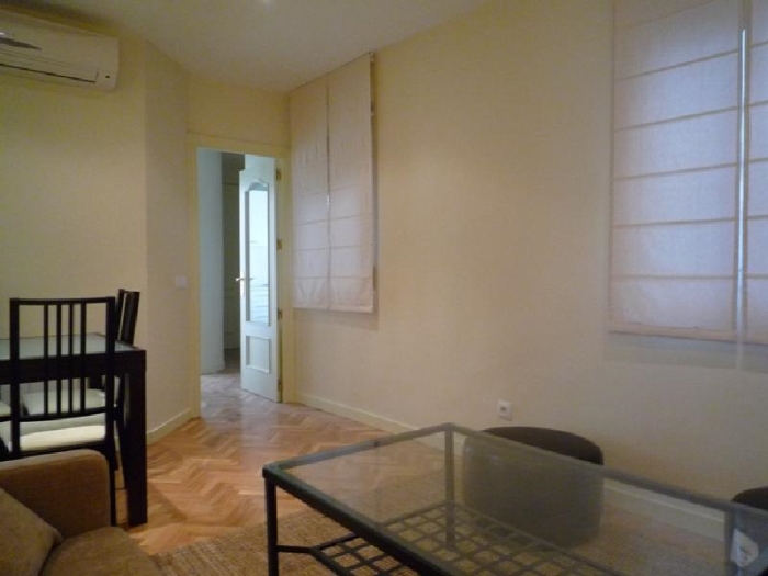 Central Apartment in Salamanca of 1 Bedroom #433 in Madrid