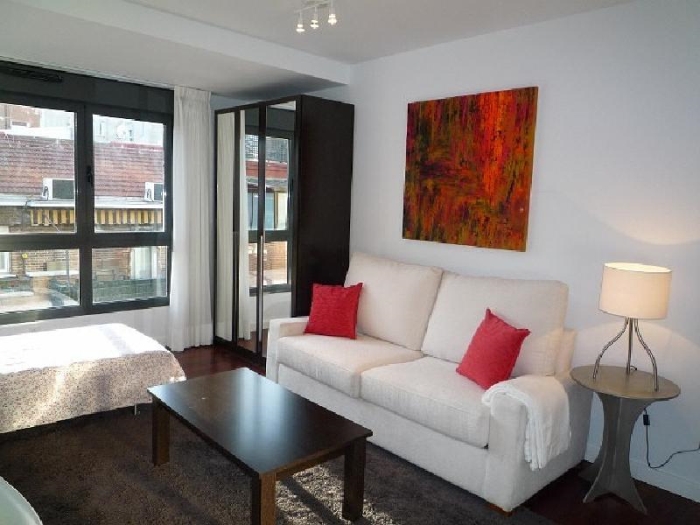 Bright Studio in Chamartin #449 in Madrid