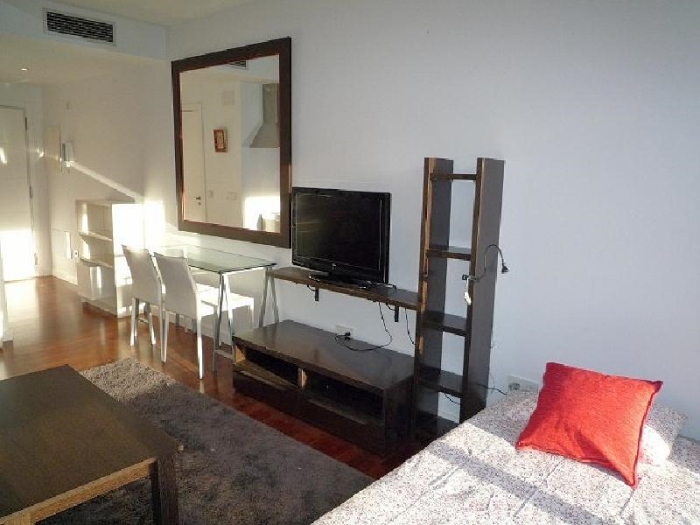 Bright Studio in Chamartin #449 in Madrid