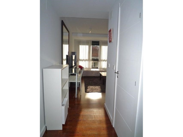 Bright Studio in Chamartin #449 in Madrid